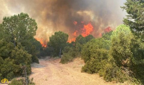 Çanakkale’de tarlada başlayan yangın ormana sıçradı