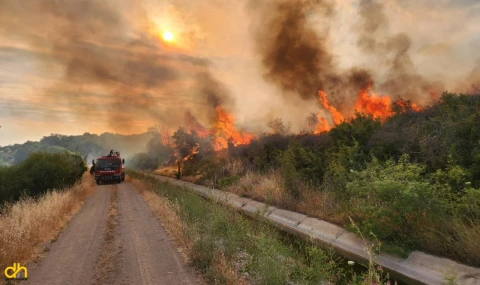 Çanakkale’deki orman yangınlarıyla ilgili 6 şüpheliye gözaltı