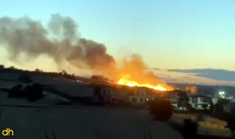 Düğünde atılan havai fişek, ekili buğday tarlasını yaktı