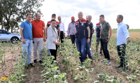 Edirne’de, dolu yağışı nedeniyle 10 bin dekar tarlada zarar tespit edildi