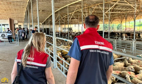 Edirne’de kurbanlıklar ve satış yerleri denetlendi