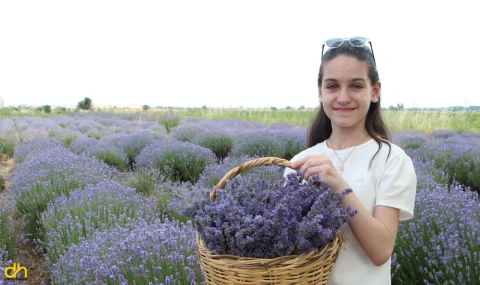 ‘Lavanta Tarla Günleri’ başladı