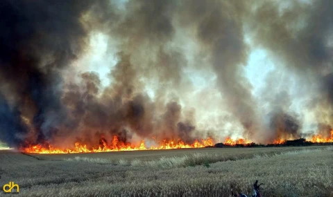 Malkara’da 300 dönüm buğday tarlası yandı