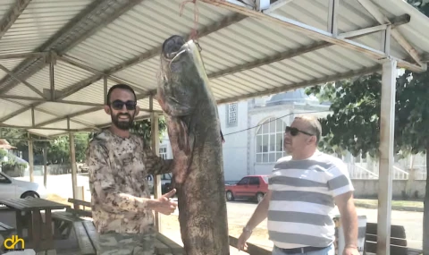 Meriç Nehri’nde 80 kilo ağırlığında yayın balığı yakaladı