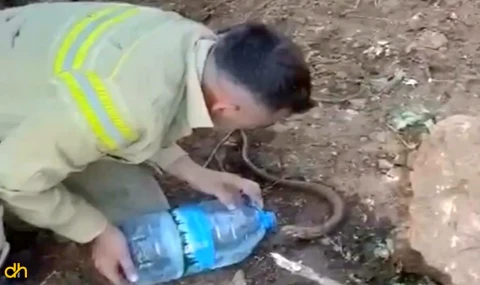 Orman işçilerinden içimizi ısıtan görüntü