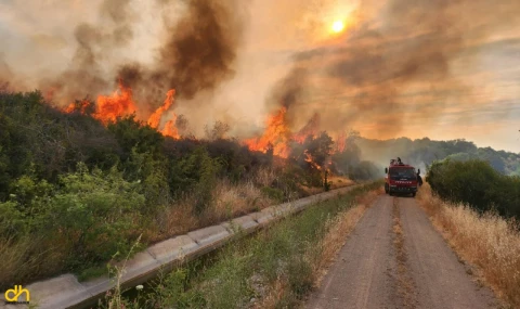 Otluk yangını 1 saatte söndürüldü