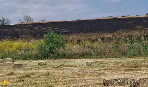 Yangınlar başladı, 100 dönüm buğday kül oldu