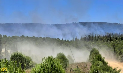 Çanakkale’de orman yangını