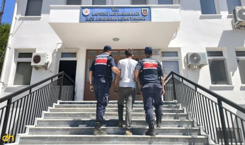 Çanakkale'deki orman yangında 1 kişi gözaltına alındı
