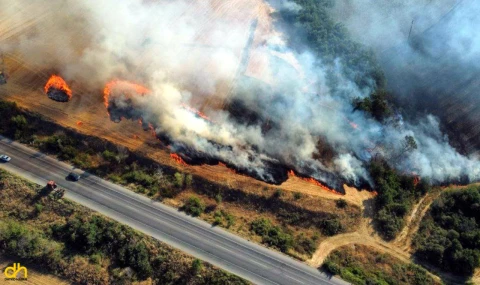 Edirne’deki yangın kontrol altına alındı