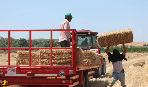 Kavurucu sıcakta balya mesaisi