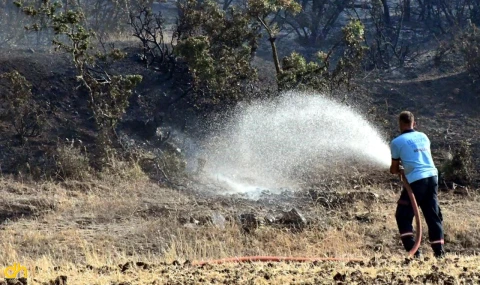 Şarköy’deki orman yangını devam ediyor
