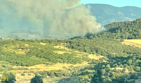 Yangın kontrol altına alındı, yollar ulaşıma açıldı