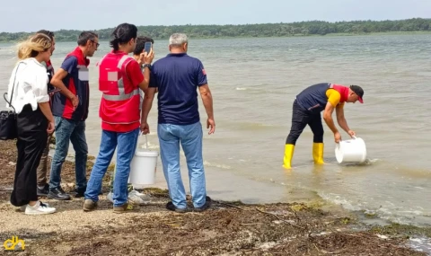 3 milyon adet pullu sazan yavrusu, göl ve göletlere bırakıldı