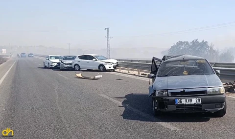 Anız yangını nedeniyle zincirleme trafik kazası meydana geldi