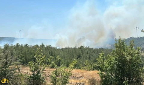 Çanakkale'de bir yangın daha çıktı
