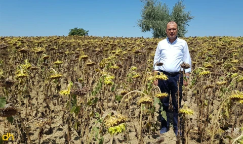 CHP Tekirdağ Milletvekili Aygun’dan kuraklık için yasa teklifi