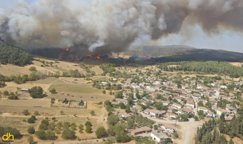 Gelibolu’da, ormanlık alanda yangın çıktı