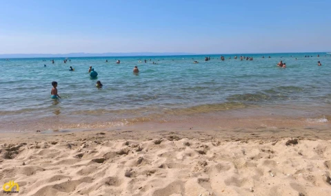 Kanalizasyon atıklarının denize döküldüğü iddia edildi