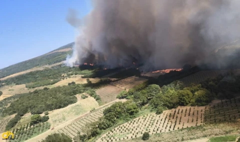 Lapseki'de, tarlada çıkan yangın ormana sıçradı