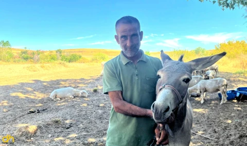 Otogarın maskotu ‘Kadife’, sahibine kavuştu