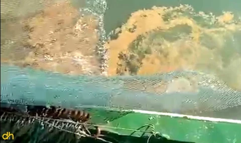 Müsilaj tehdidi yeniden başladı