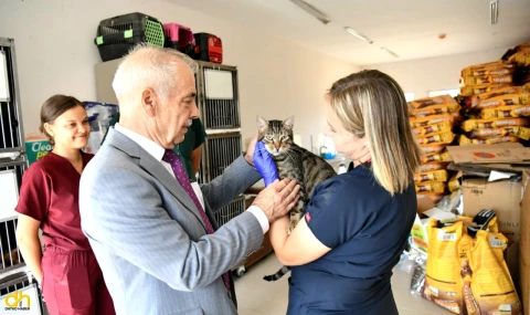 Sokak hayvanları için oluşturulan alanda çalışmalar sürüyor