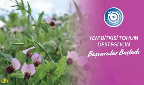 Yem Bitkisi Tohum Desteği için başvurular başladı