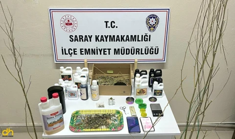 Evde kenevir yetiştirip uyuşturucu üreten 5 şüpheli gözaltında