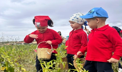Minik çiftçiler iş başında