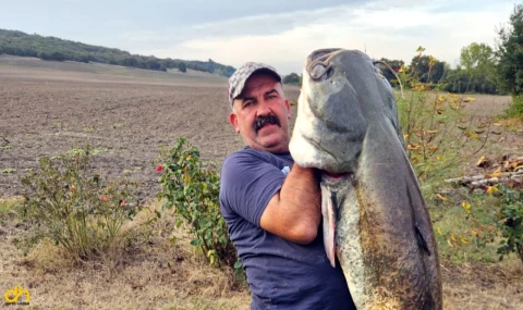 Oltayla 70 kiloluk yayın yakaladı