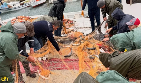 Saros’ta kefal bereketi