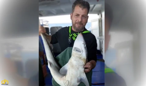 Balıkçı, ağına takılan camgöz köpek balığını yeniden suya bıraktı