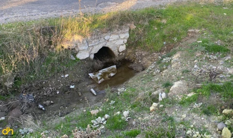 Boş arazide bebek cesedi bulundu