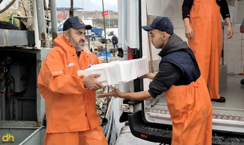 Lodosun ardından Tekirdağlı balıkçılar, kasalar dolusu balıkla döndü