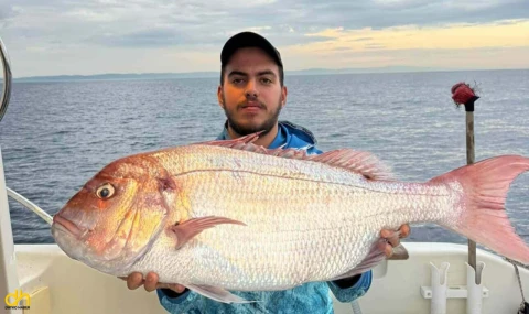 Oltayla 12 kiloluk mercan yakaladı