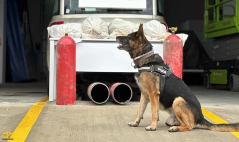 Otomobilin LPG tanklarında 19 kilo 692 gram esrar ele geçirildi