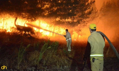 Yanan alanların yeniden rehabilitasyonu için çalıştay gerçekleştirildi