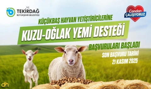 Yetiştiricilere kuzu-oğlak yem desteği başvuruları başladı