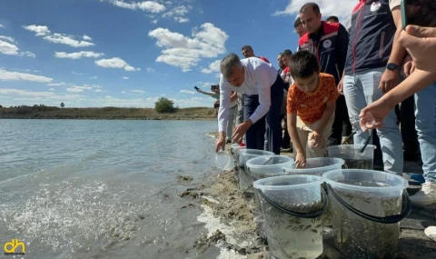 2025 yılında 10,5 milyon sazan yavrusu üretildi