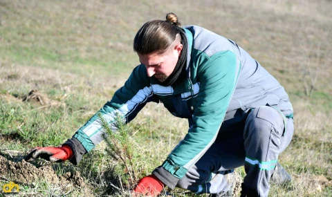 3 yılda 7 bin 761 fidan dikildi
