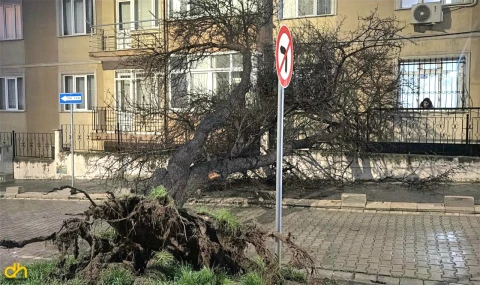 Fırtına nedeniyle Çorlu ve Marmaraereğlisi'nde çatılar uçtu, ağaçlar devrildi