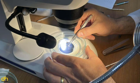 Marmara Bölgesi’nde erken kirliliğin göstergesi olan canlılar araştırılıyor