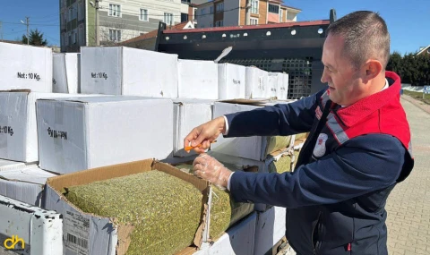 Aflatoksin içeren 2 ton baklavalık fıstık ele geçirildi