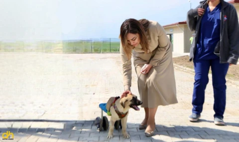 Büyükşehirden ‘can dostlar’ için büyük yatırım