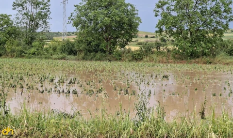 Edirne ve Kırklareli’ni sağanak ve dolu vurdu