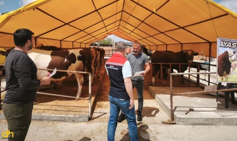 Kurban pazarında sıkı denetim