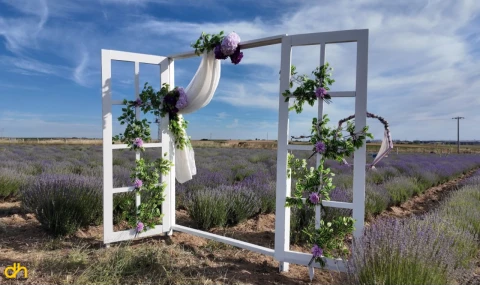 Ergene Lavanta  ve Hanımeli Çilek Tarlası ziyarete açıldı
