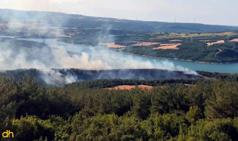 Kırklareli ve Tekirdağ'da ormanlara girişler yasaklandı