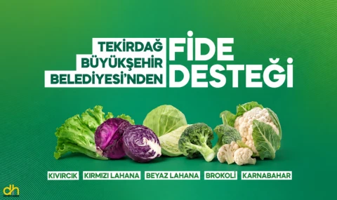 Yerel üreticiye fide desteği